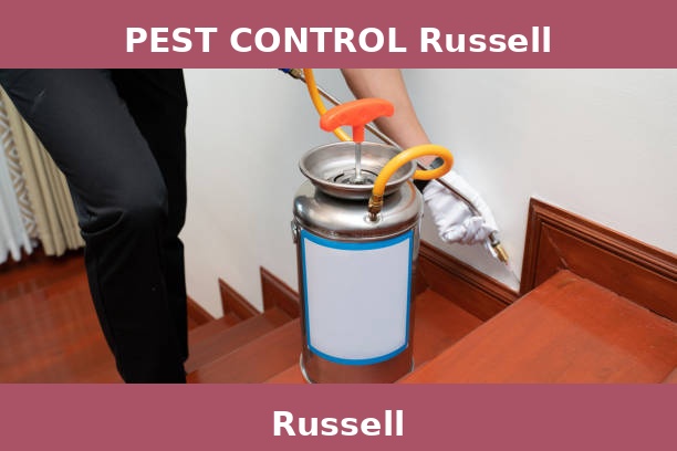PEST CONTROL Russell